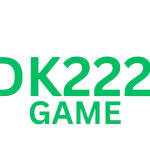 dk222 game logo